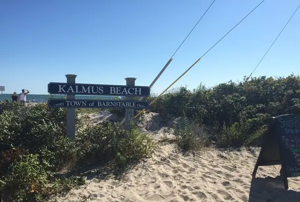 コッド岬の写真・動画_image_173516