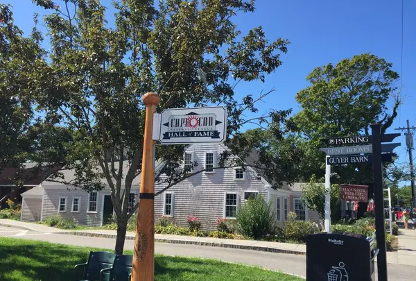 コッド岬の写真・動画_image_173517