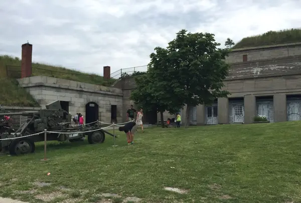 ジョージズ島の写真・動画_image_173534