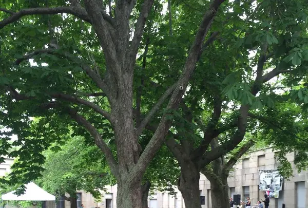 ジョージズ島の写真・動画_image_173536