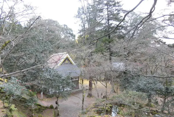 高源寺の写真・動画_image_173583