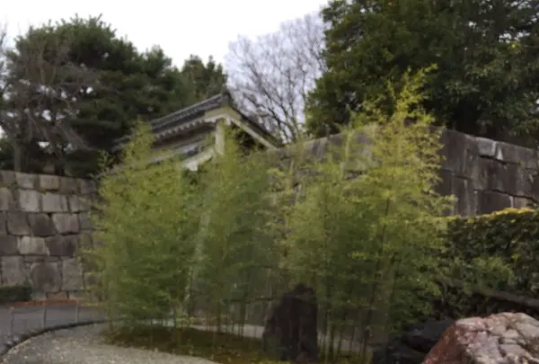 元離宮 二条城の写真・動画_image_173592