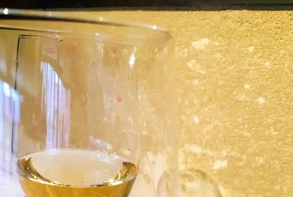 スコルピオーネ祇園の写真・動画_image_173598