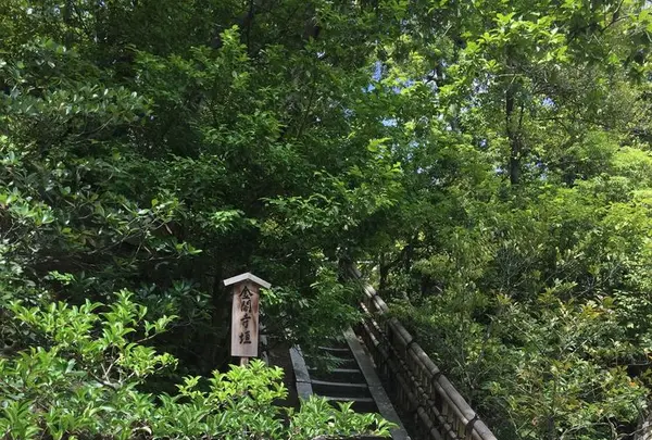 金閣寺（鹿苑寺）の写真・動画_image_173727