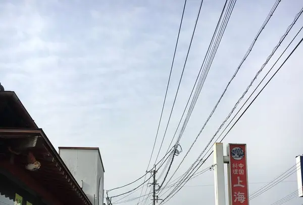 上海飯店の写真・動画_image_173759