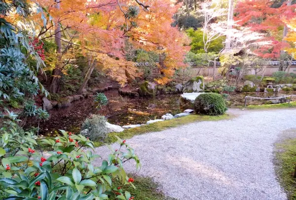 即宗院の写真・動画_image_173861