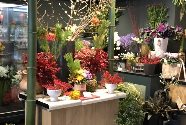 函館 蔦屋書店の写真・動画_image_173950