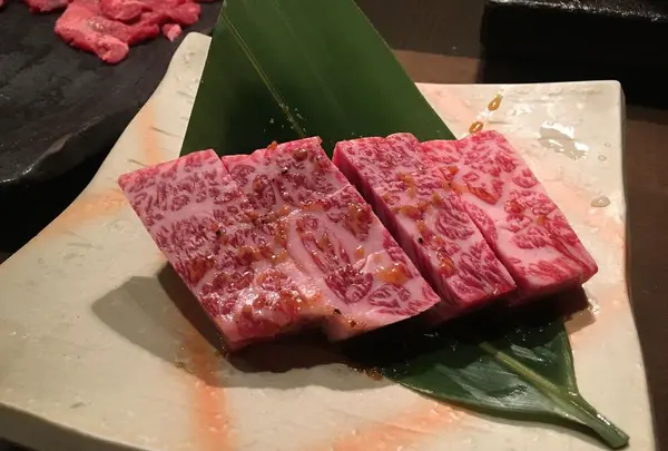 炭火焼肉 泉味亭の写真・動画_image_173961