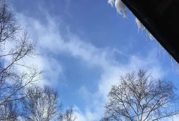 北八ヶ岳ロープウェイの写真・動画_image_174117