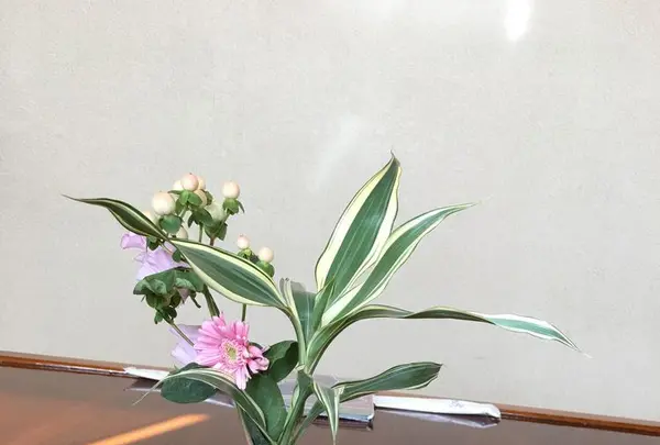 みつ蔵の写真・動画_image_174121