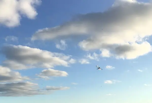 旭川駅の写真・動画_image_174132