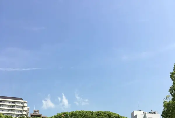 生田神社の写真・動画_image_174175