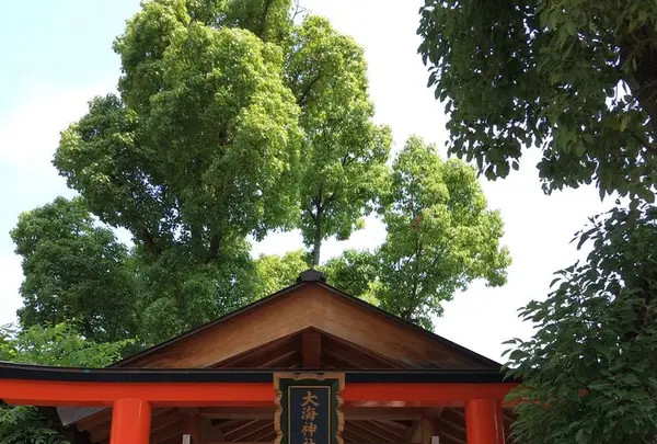 生田神社の写真・動画_image_174176