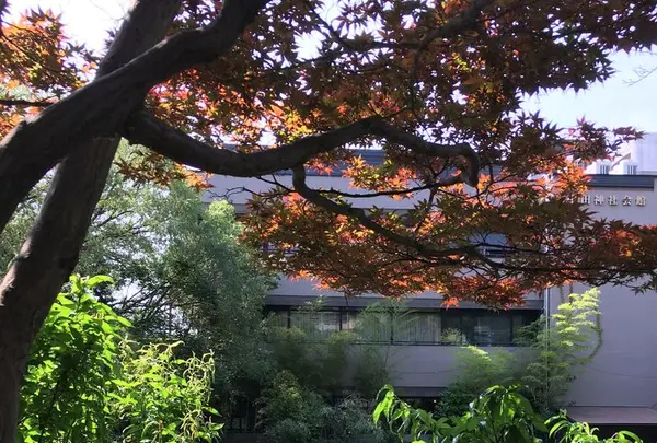 生田神社の写真・動画_image_174177