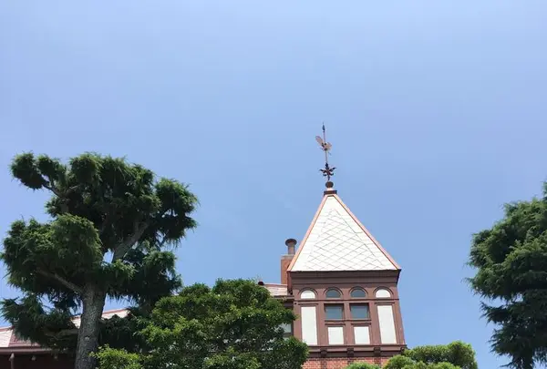 北野異人館街の写真・動画_image_174183