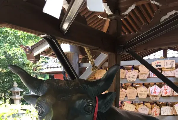 北野天満神社の写真・動画_image_174190