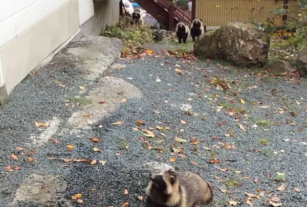 七味温泉の写真・動画_image_174226