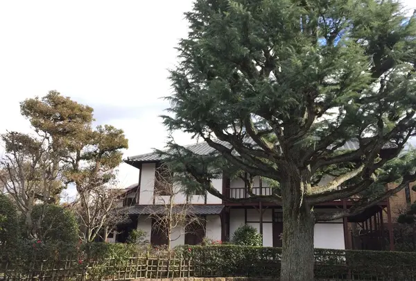 新島旧邸の写真・動画_image_174246