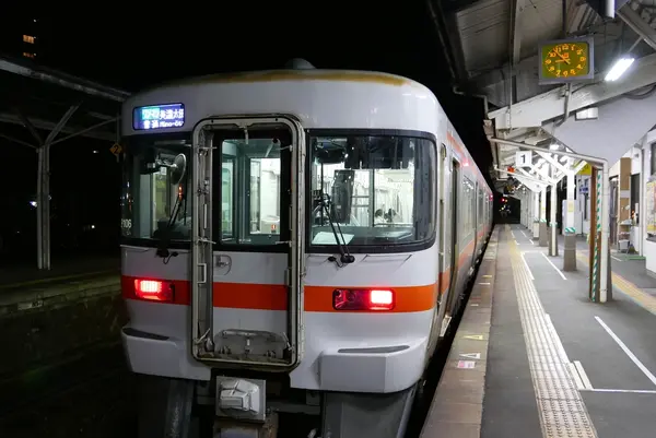 下呂駅の写真・動画_image_174334