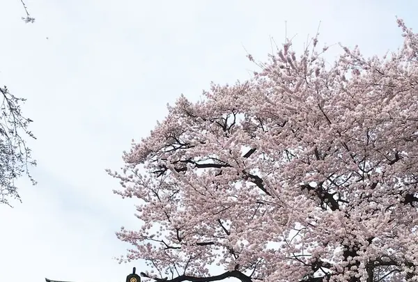 慈眼寺の写真・動画_image_174436