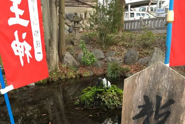 今宮神社の写真・動画_image_174437