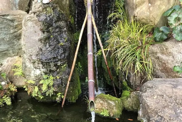 今宮神社の写真・動画_image_174439