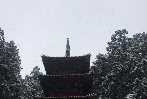 日光東照宮の写真・動画_image_174463