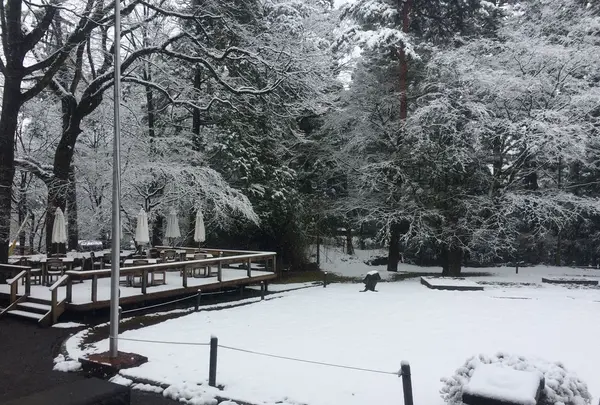 明治の館の写真・動画_image_174467