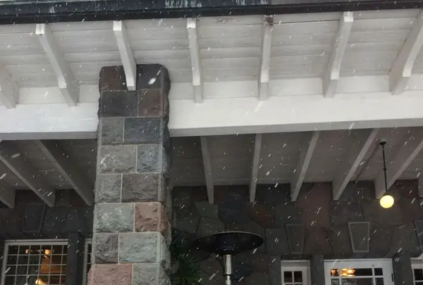 明治の館の写真・動画_image_174468