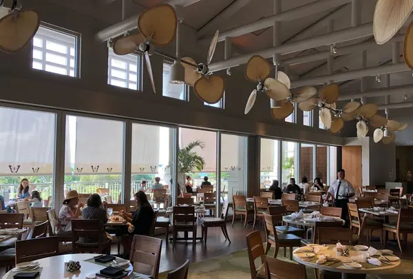 Mariposaの写真・動画_image_174495