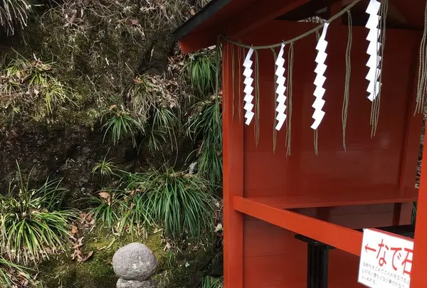 神橋の写真・動画_image_174559