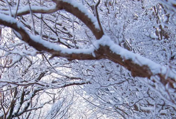 雲仙ロープウェイの写真・動画_image_174629