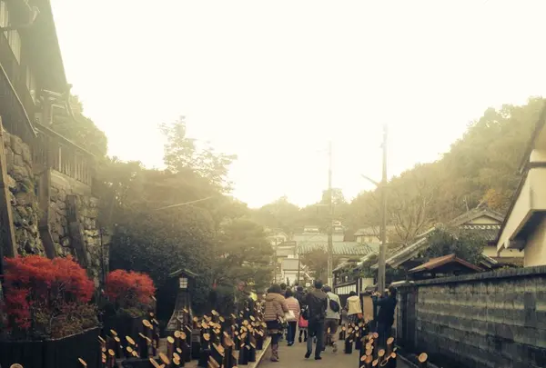 竹田市の写真・動画_image_174684