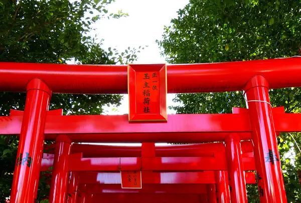 伊奴神社の写真・動画_image_174720