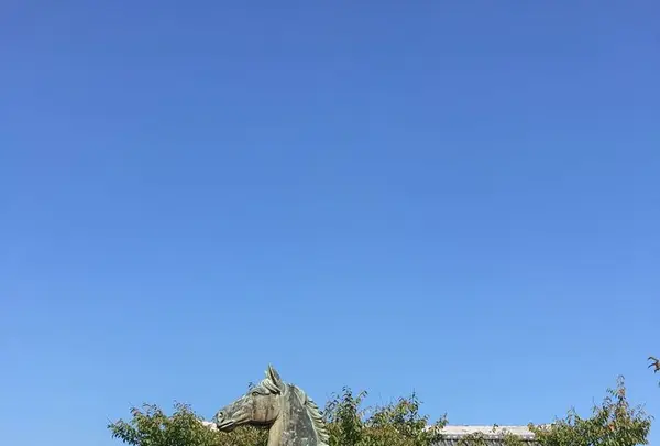 白峰宮の写真・動画_image_174779