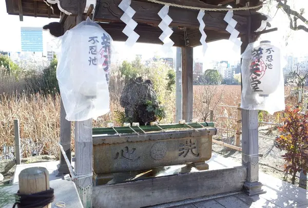 不忍池辯天堂の写真・動画_image_174805