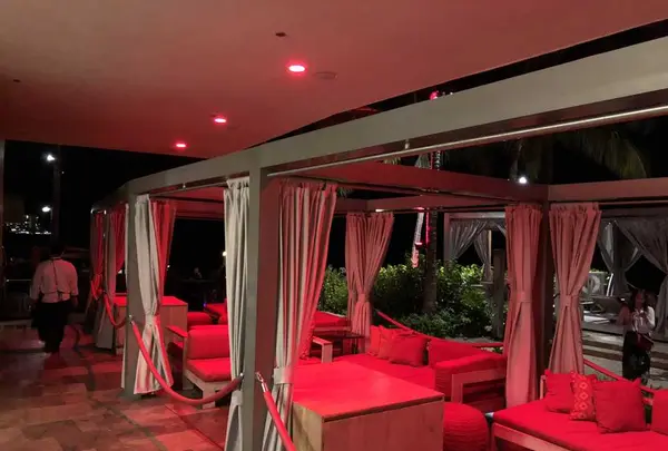 ラムファイヤーの写真・動画_image_174857