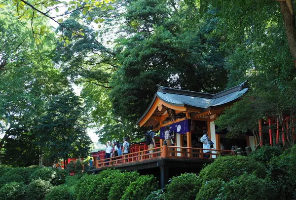 根津神社の写真・動画_image_174905