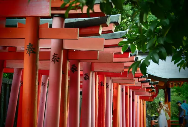 根津神社の写真・動画_image_174906