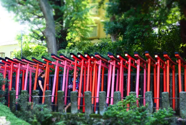 根津神社の写真・動画_image_174907