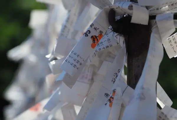 湯島天満宮（湯島天神）の写真・動画_image_174909