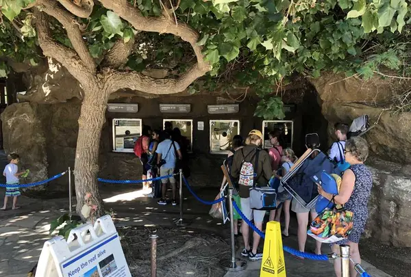 Hanauma Bay（ハナウマ湾）の写真・動画_image_174974