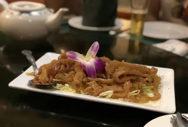 キリンの写真・動画_image_174991