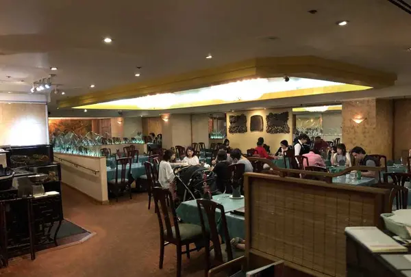 キリンの写真・動画_image_174998