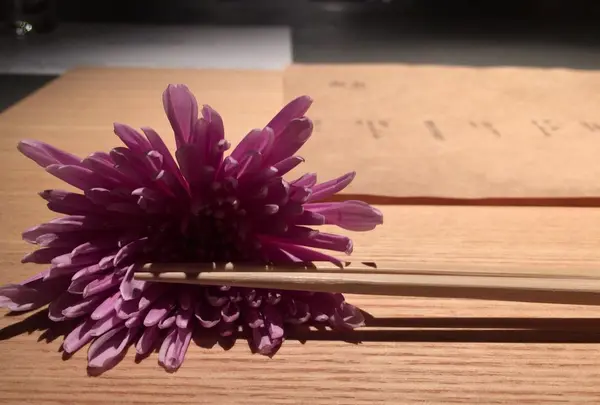 山形座 瀧波の写真・動画_image_175117