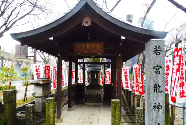 若宮八幡社の写真・動画_image_175224