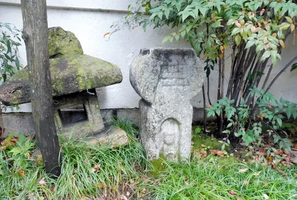 洲崎神社の写真・動画_image_175225