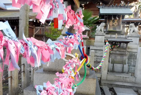 若宮八幡社の写真・動画_image_175410