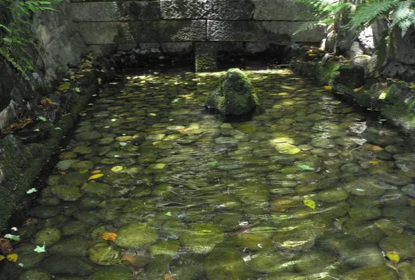 熱田神宮の写真・動画_image_175458