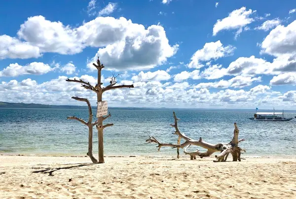 パンダノン島の写真・動画_image_176059